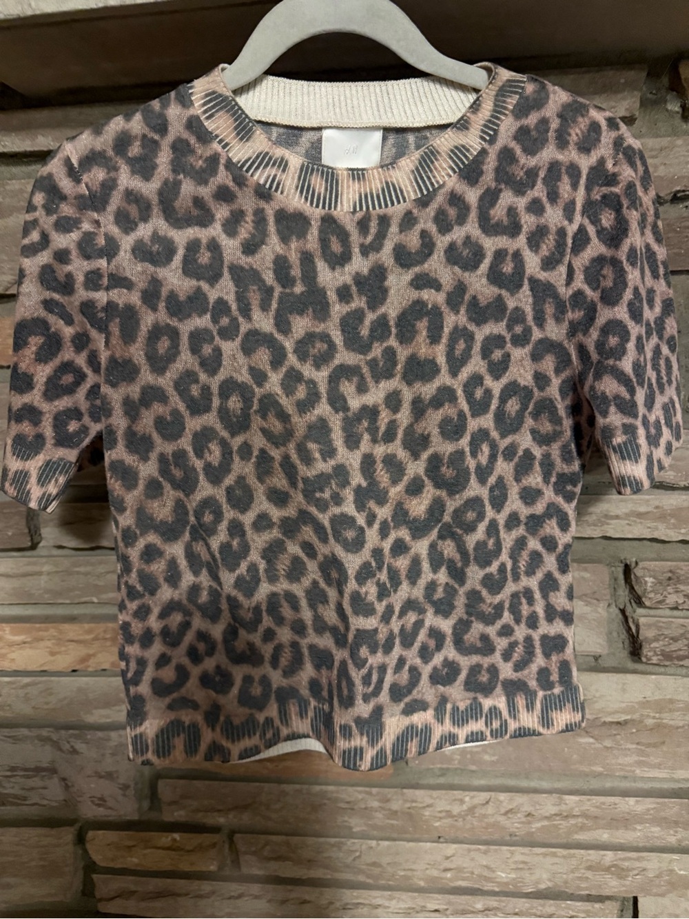 Leopard Print Short Sleeve Sweater - cream  & Black